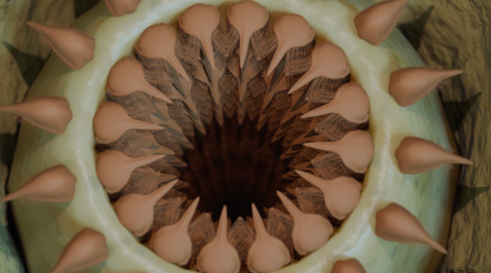 the base of a prehistoric penis worm, which is covered in feathery teeth